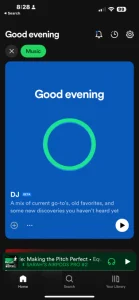 Spotify DJ