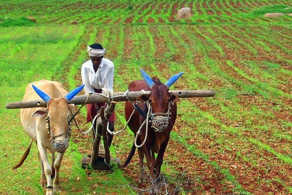 essay about natural resources in nepal